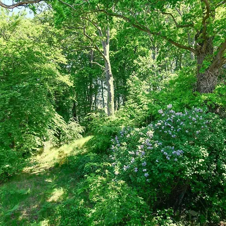 Residenz 14 아파트